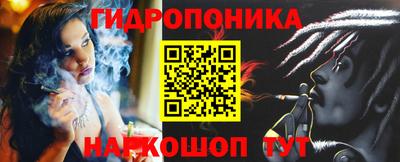 эйфоретик Кимры