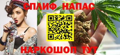 эйфоретик Кингисепп