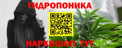 эйфоретик Кимры