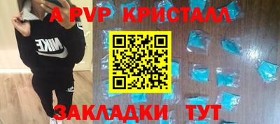 эйфоретик Кингисепп