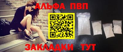 эйфоретик Кингисепп