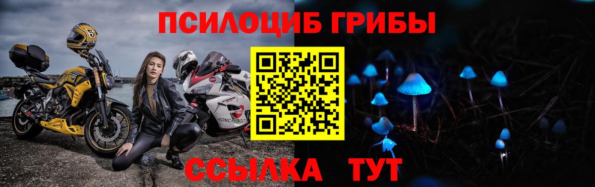 Тобольск  Галлюциногенные грибы Psilocybe  Вход с VPN 